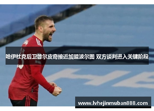 哈伊杜克后卫普尔皮奇接近加盟波尔图 双方谈判进入关键阶段
